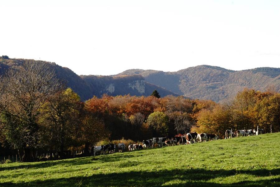 l'automne
