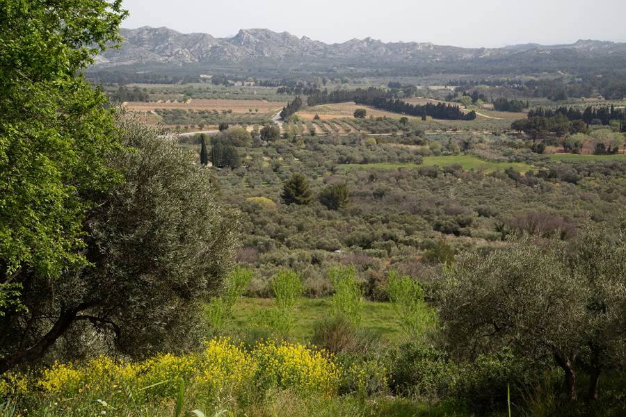 Les Alpilles