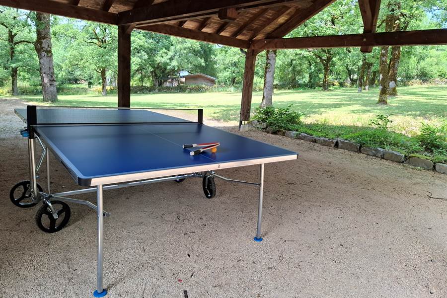 Table de ping pong