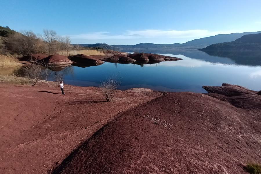 Le rossignol des murailles-Le lac du salagou