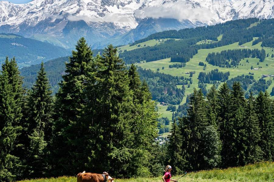 les balades avec une vue à couper le souffle