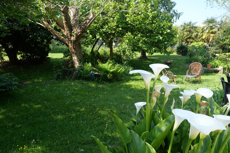 Sans titre-photo-page