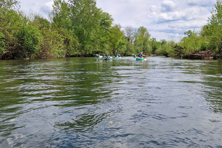Descente_canoë_82_Albias_Lamothe_Capdeville