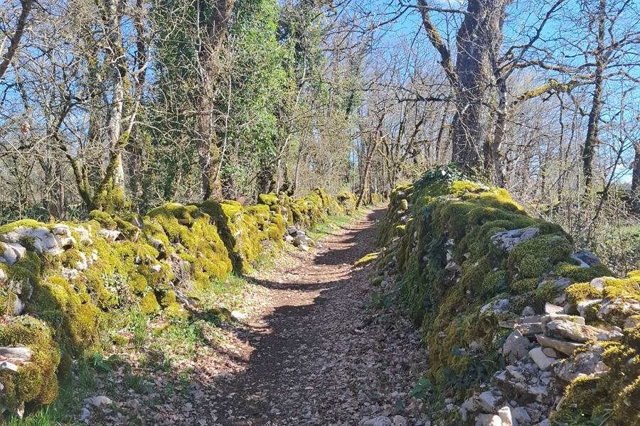 Parcourir les chemins du Causse ...