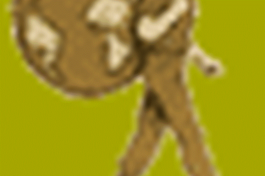 logo guide routard-photo-page