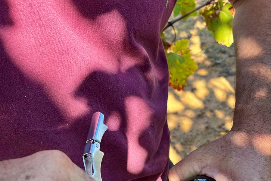 On déguste ensemble ?-photo-page