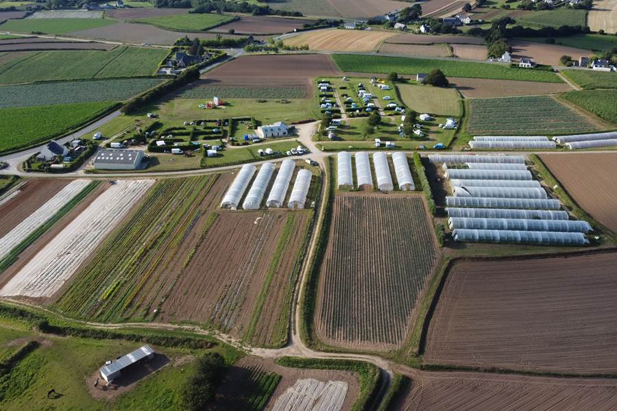6 hectares cultivés à la main, en BIO
