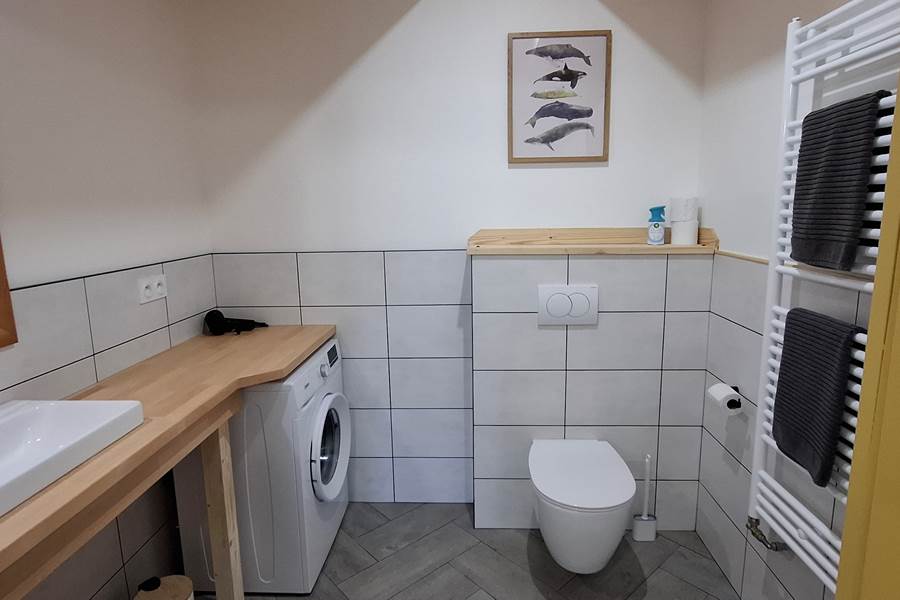 Salle de bain 2 - Douche + wc + lavabo + machine à laver