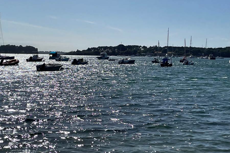 Golfe vu de la pointe du Berchis-photo-page