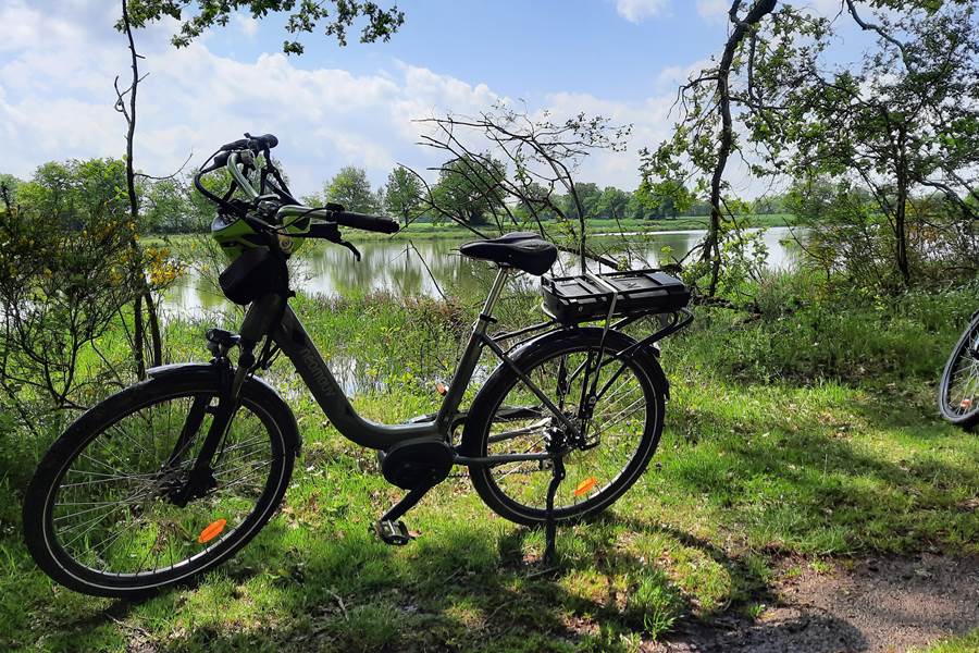 Promenade en vélo autour des etangs de la Dombes