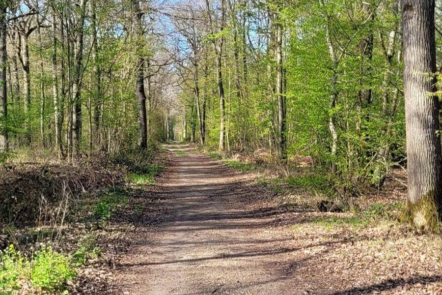 Chemin Randonnée-photo-page