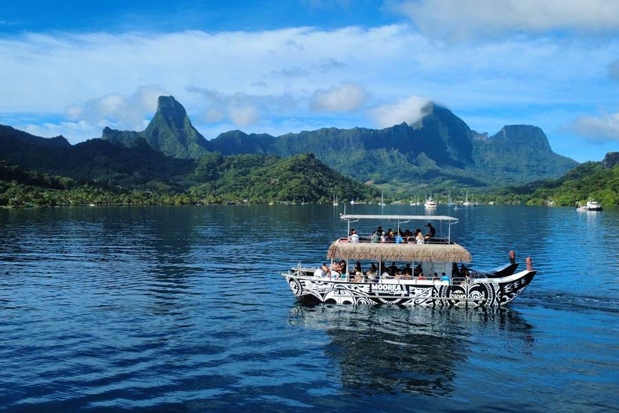 dji_fly_20250706_085410_199_1751832803732_photo_optimized