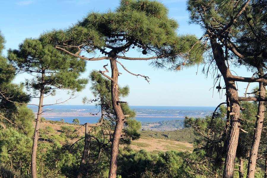 massif de Fontfroide