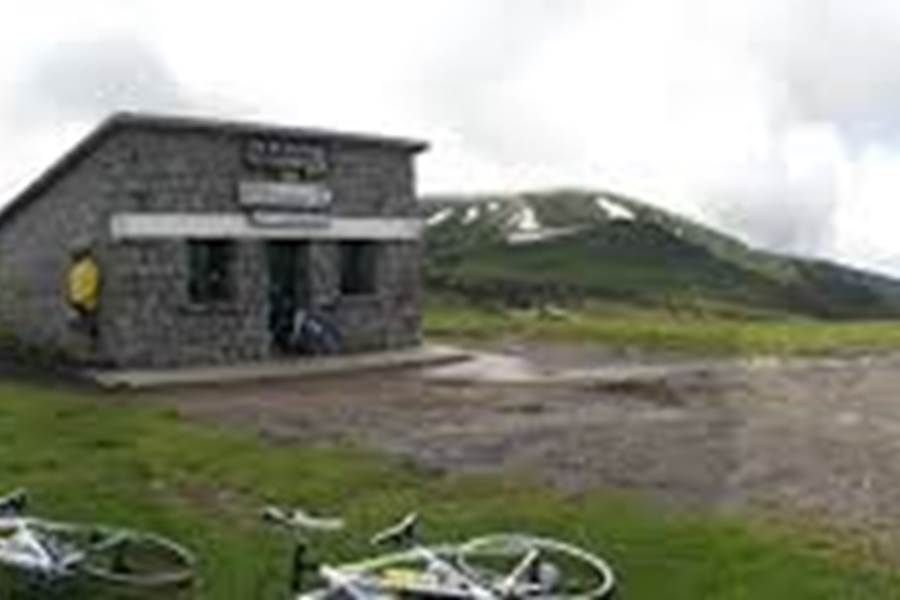 Col 2001 M-photo-page