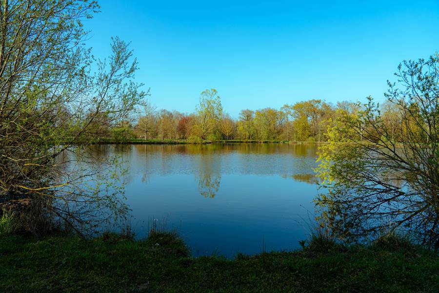 week-end-famille-dombes-etangs