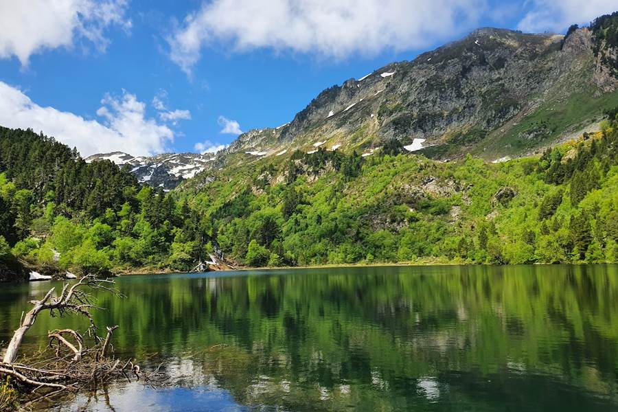 Sans titre-photo-page