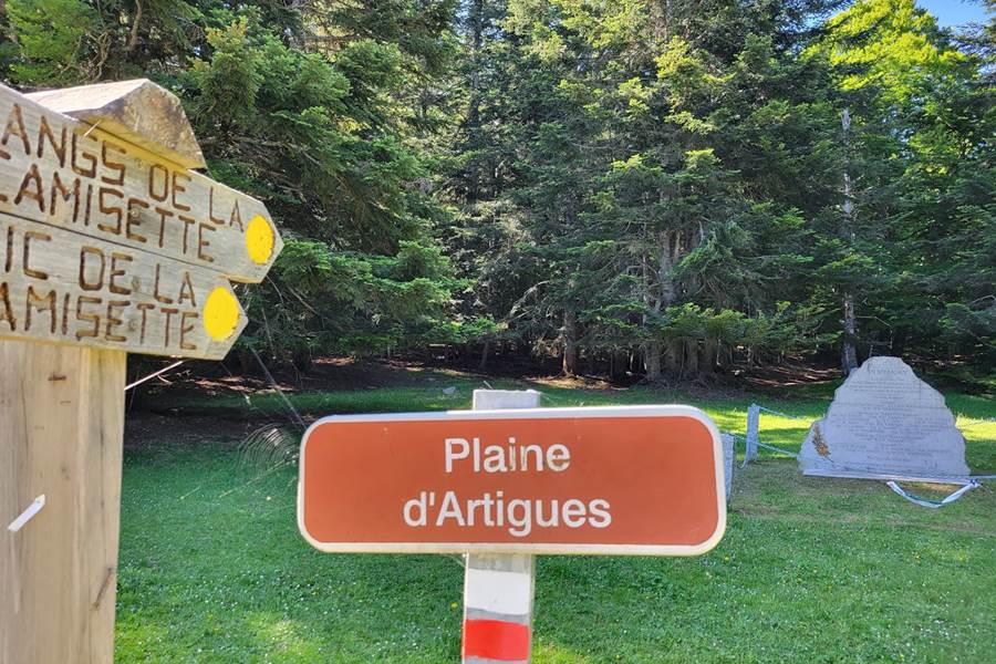 Sans titre