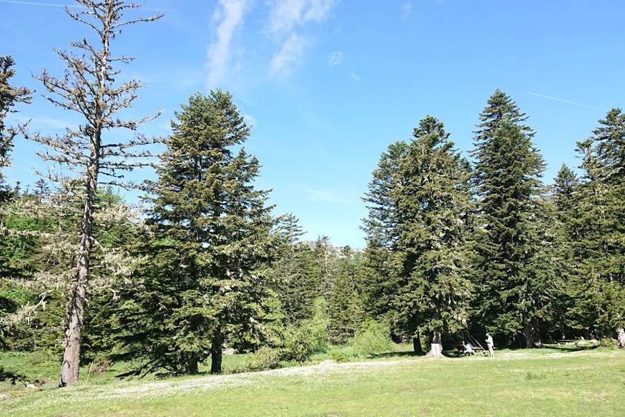 Sans titre-photo-page