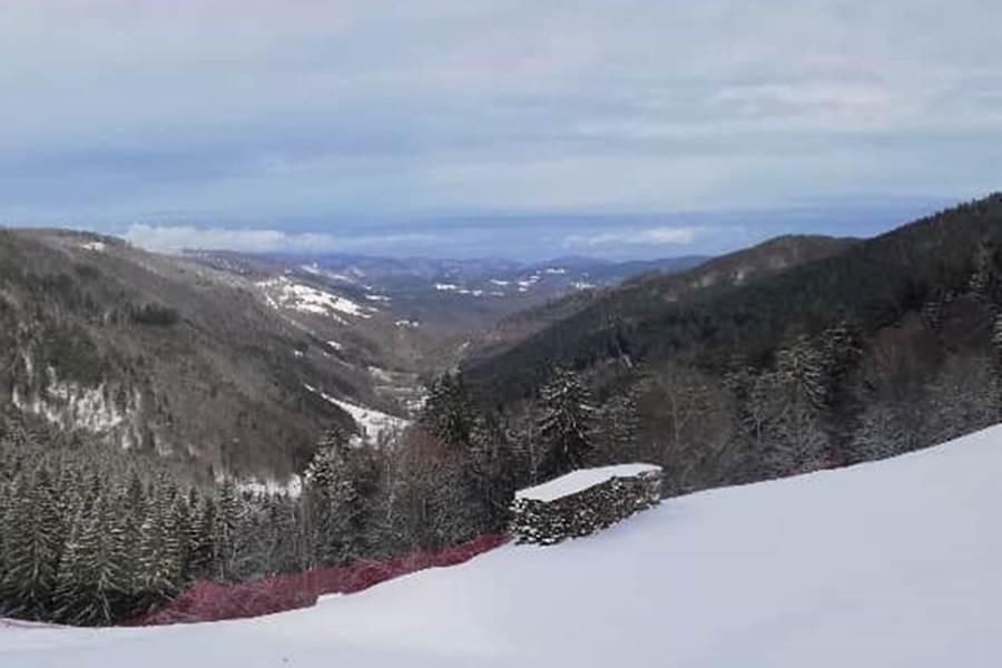 Sans titre-photo-page