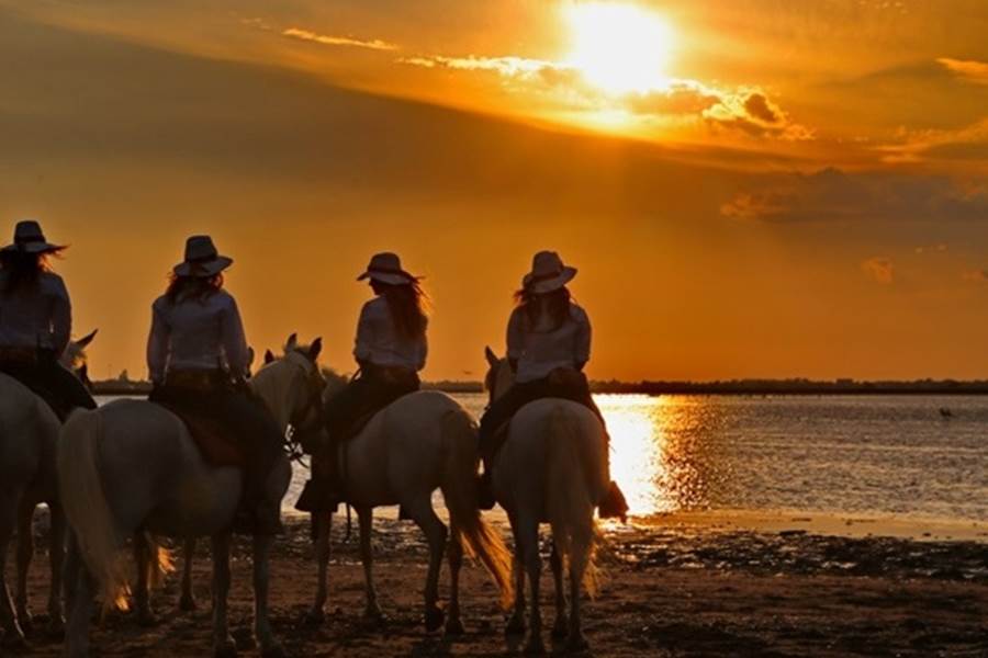 Sans titre-photo-page