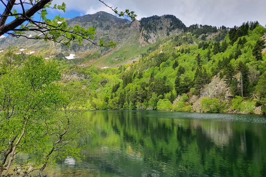 Sans titre-photo-page