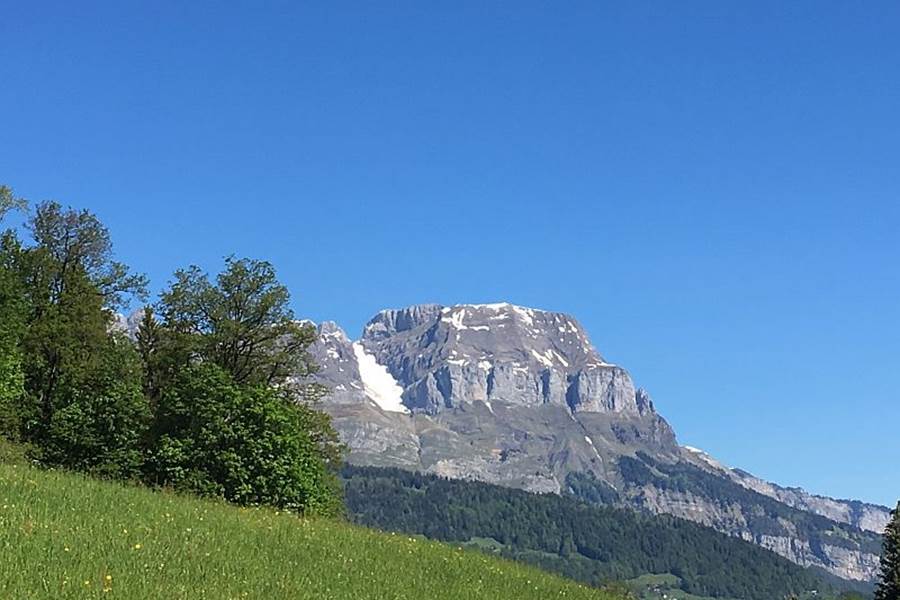 Vue depuis l'arrière du chalet