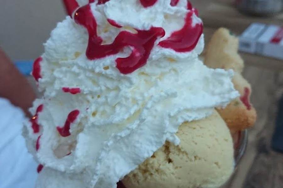 Abricot Melba-photo-page