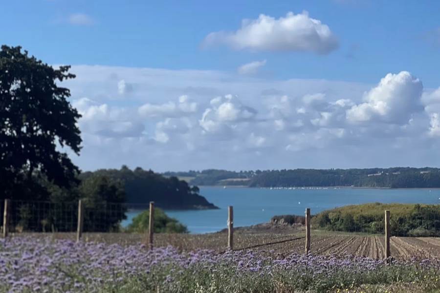 Capture d’écran 2026-09-21 à 17.43.44