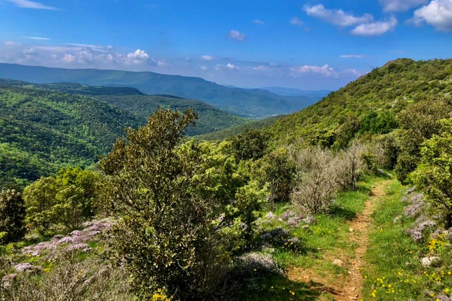 randonnée dans les Corbieres-photo-page