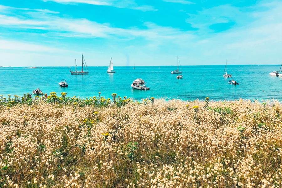 Île de Penfret les Glénan Fouesnant
