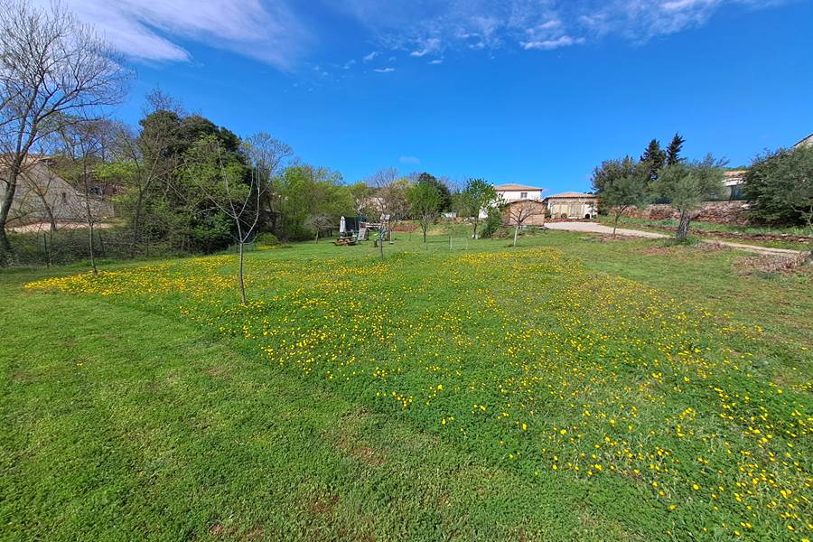 Le rossignol des murailles-Jardin