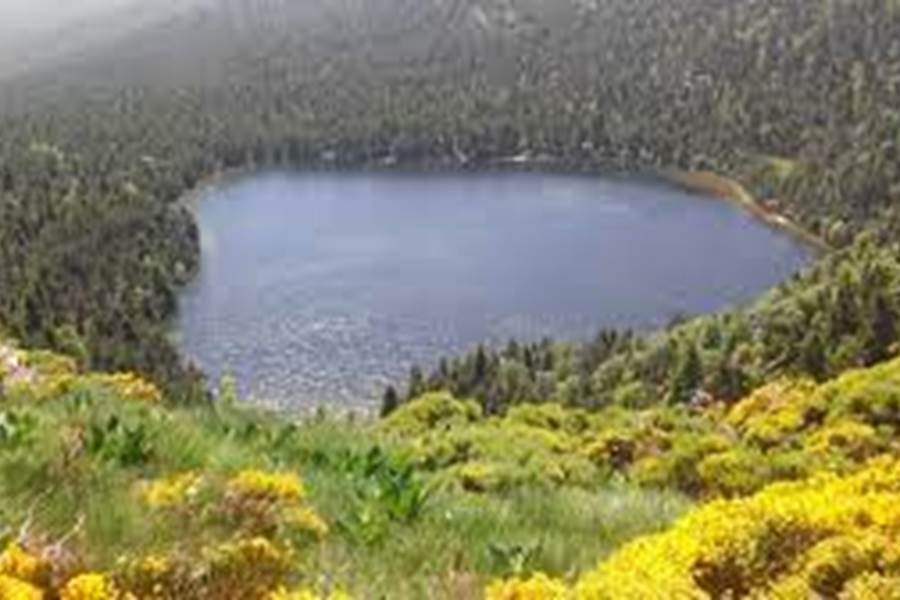 Sans titre-photo-page