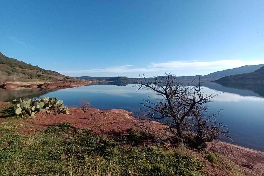 Le rossignol des murailles-Le lac du salagou