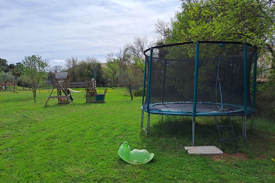 Le rossignol des murailles-Trampoline