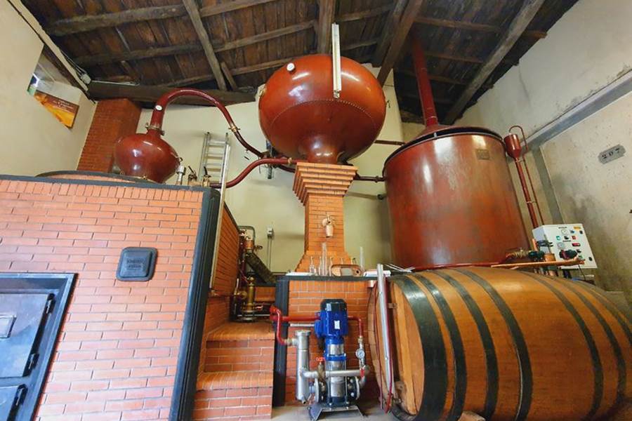 Le Domaine de la Chevalerie - Vignoble Pelletant