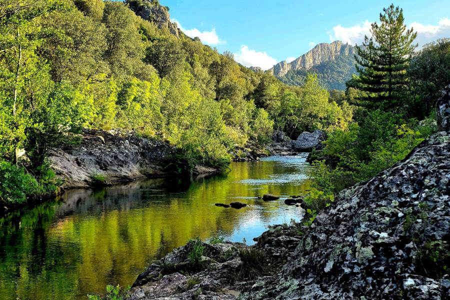 Sans titre-photo-page