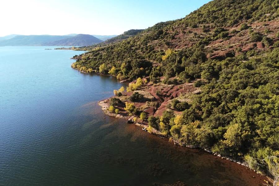 Le rossignol des murailles-Le lac du salagou