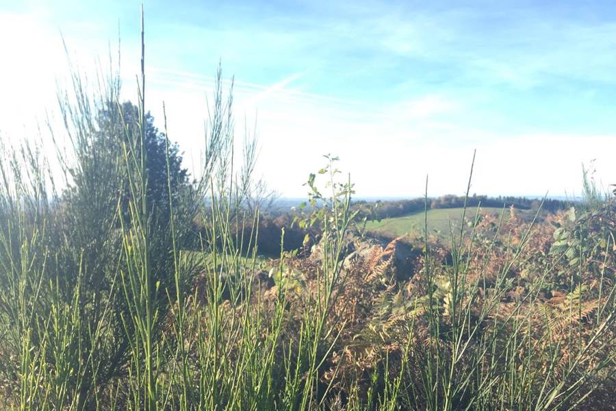 Le site du Mont Gargan