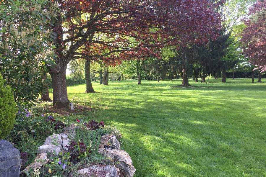 Le Domaine Enchanté - Parc