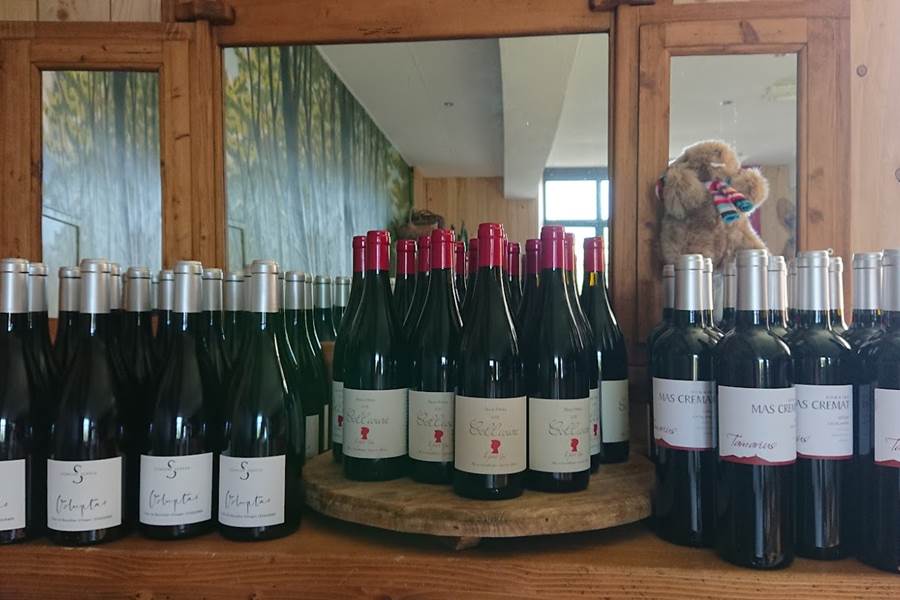 Sans titre-photo-page