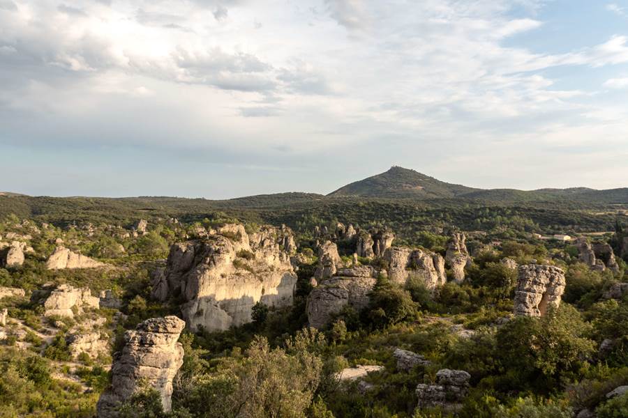 Le rossignol des murailles-Le cirque de Mourèze