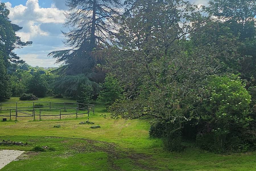 VUE SUR LE JARDIN DEPUIS TOUTES LES CHAMBRES