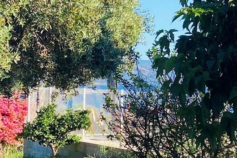 jardin corse