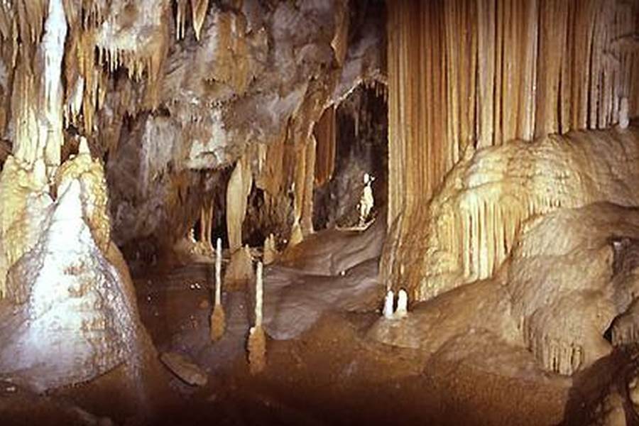 Sans titre-photo-page