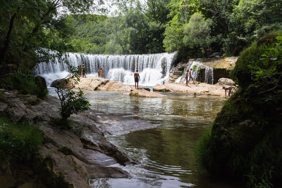 Le rossignol des murailles-Cascade de St Laurent le minier