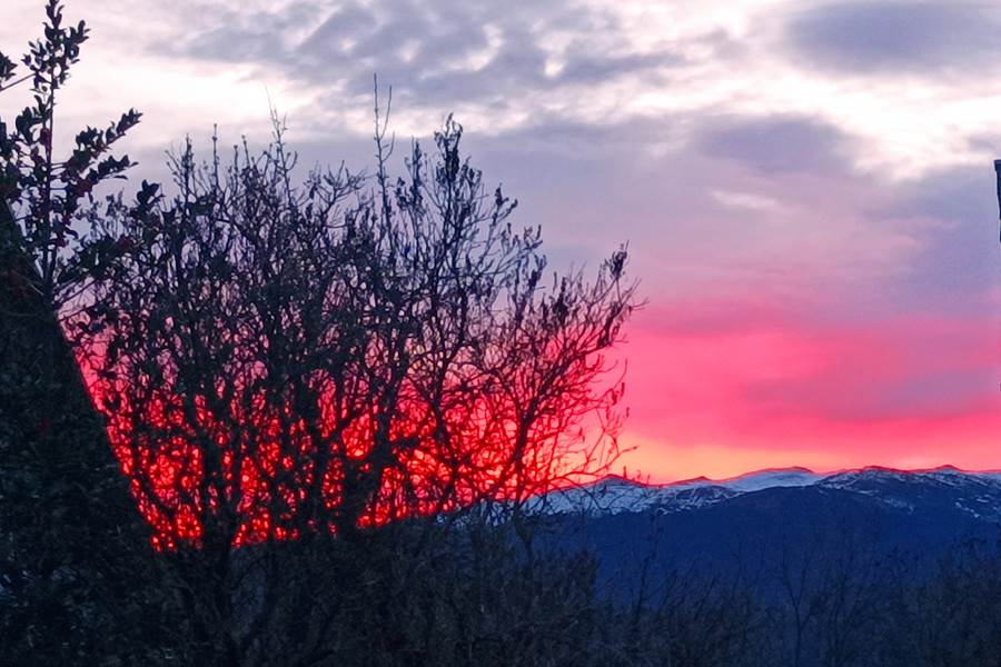 Sans titre-photo-page