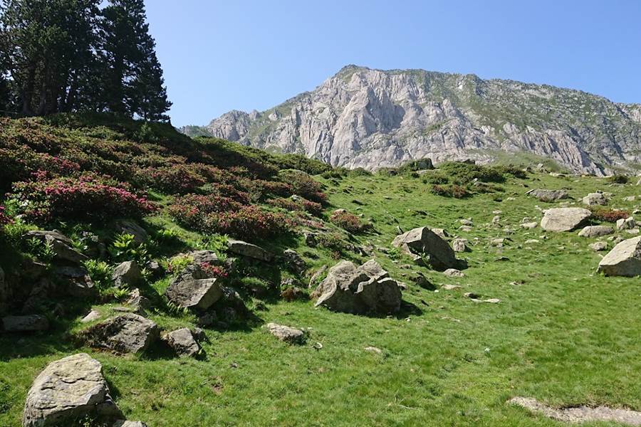 Sans titre-photo-page