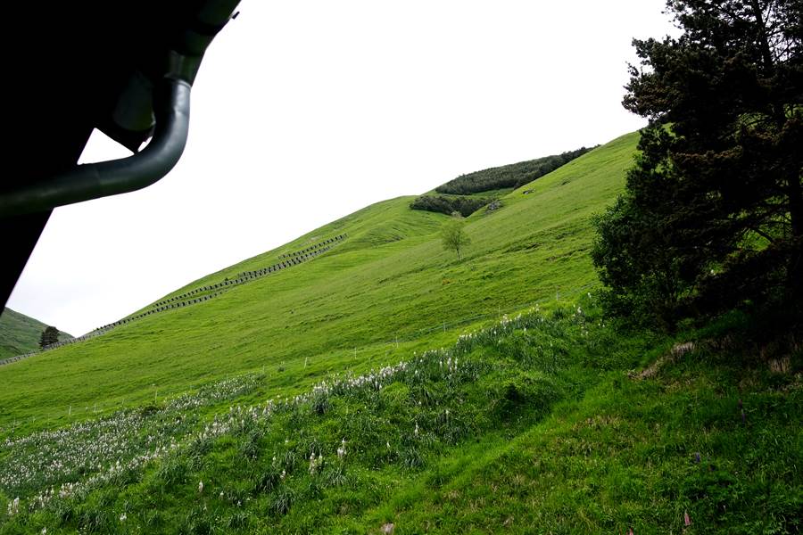 Vue sur la nature pyrénéenne
