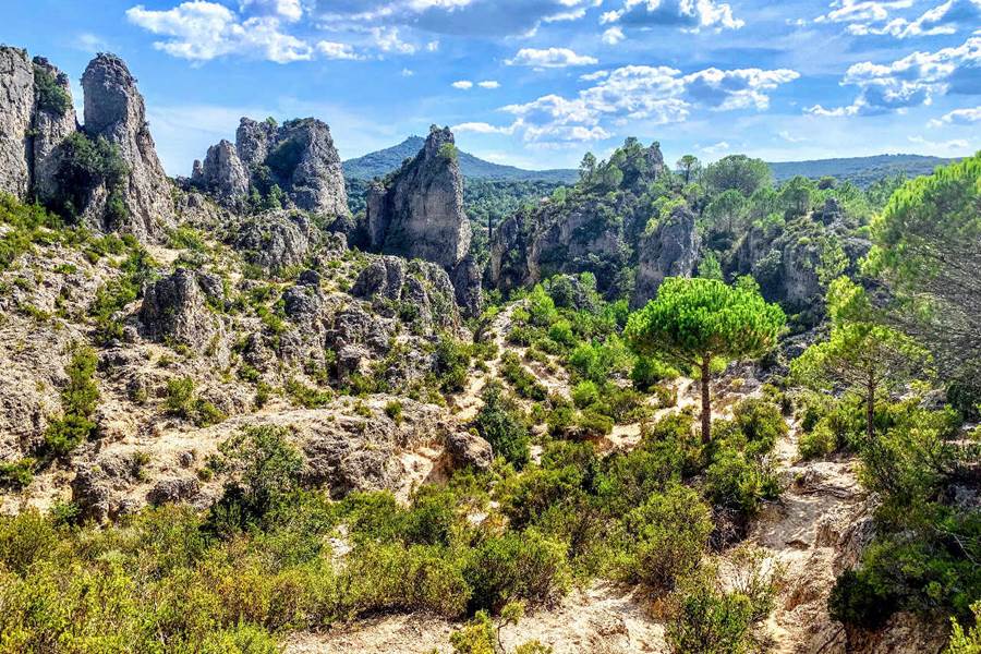 Le rossignol des murailles-Le cirque de Mourèze