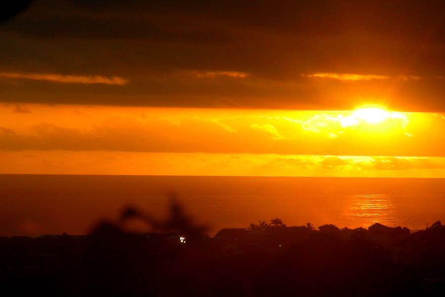 Hévéa coucher de soleil - Oasis de Terre Rouge - Saint-Pierre Réunion 974